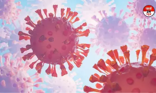 एचएमपीवी वायरस का भारत में दस्तक! बेंगलुरु में आठ महीने की बच्ची संक्रमित एचएमपीवी वायरस का भारत में दस्तक! बेंगलुरु में आठ महीने की बच्ची संक्रमित