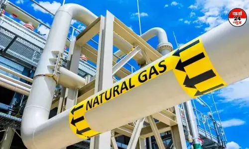 आईजीएक्स और सीईजीएच के बीच ग्रीन गैस ट्रेडिंग प्लेटफॉर्म के विकास के लिए समझौता