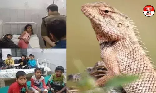 मिड-डे मील खाने से 84 बच्चे बीमार, जांच के लिए टीम गठित मिड-डे मील खाने से 84 बच्चे बीमार, जांच के लिए टीम गठित