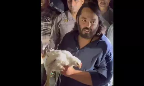 अनंत अंबानी ने पदयात्रा रोककर बचाई मुर्गों की जान, वीडियो देख लोगों की भर आई आंखें अनंत अंबानी ने पदयात्रा रोककर बचाई मुर्गों की जान, वीडियो देख लोगों की भर आई आंखें