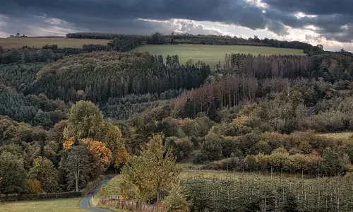 कांचा गाचीबौली की 400 एकड़ जमीन पर 16 अप्रैल तक आम लोगों की आवाजाही पर रोक