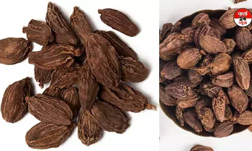 HEALTH TIPS: बड़ी इलायची एक फायदे अनेक: पथरी से लेकर स्वप्नदोष, नपुंसकता तक का इलाज HEALTH TIPS: बड़ी इलायची एक फायदे अनेक: पथरी से लेकर स्वप्नदोष, नपुंसकता तक का इलाज