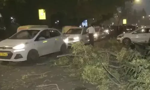 Delhi-NCR में मौसम ने मारी पल्टी,  धूल भरे तूफान और बरसात से 15 फ्लाइट्स डायवर्ट