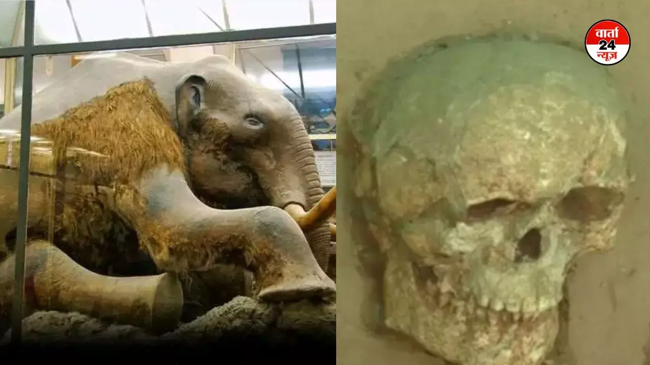 ट्राम ट्रैक बिछाने के लिए खोदी जमीन तो मिले 800 साल पुराने मानव कंकाल, जानें इसके पीछे का रहस्य!