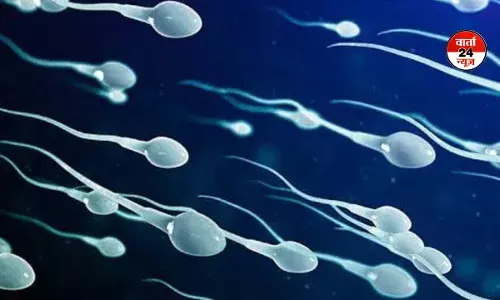 अनोखी पहल: दुनिया की पहली ‘स्पर्म रेस’ का आयोजन लॉस एंजेलेस में, पुरुष प्रजनन स्वास्थ्य को लेकर जागरूकता फैलाने का प्रयास अनोखी पहल: दुनिया की पहली ‘स्पर्म रेस’ का आयोजन लॉस एंजेलेस में, पुरुष प्रजनन स्वास्थ्य को लेकर जागरूकता फैलाने का प्रयास