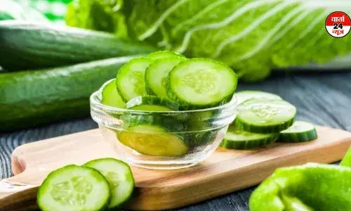 गर्मियों का सुपरफूड खीरा, जानें रोजाना खाने के फायदे, साथ ही जान लें ज्यादा खाने के नुकसान गर्मियों का सुपरफूड खीरा, जानें रोजाना खाने के फायदे, साथ ही जान लें ज्यादा खाने के नुकसान