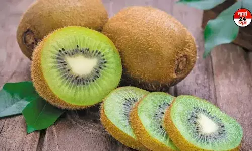 गर्मियों का दुश्मन कीवी, जानें कैसे भयानक गर्मी से देता है राहत गर्मियों का दुश्मन कीवी, जानें कैसे भयानक गर्मी से देता है राहत