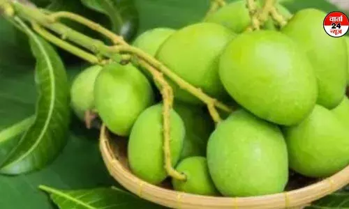 गर्मी में खाएं चटकारेदार कच्चे आम, जाने कितना होता है फायदेमंद गर्मी में खाएं चटकारेदार कच्चे आम, जाने कितना होता है फायदेमंद