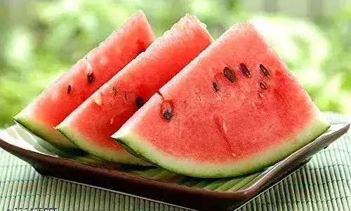 गर्मियों में तरबूज कितना जरुरी, जानें फायदे और नुकसान गर्मियों में तरबूज कितना जरुरी, जानें फायदे और नुकसान