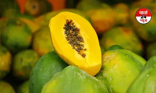 गर्मियों में पपीता सेहत का मीठा साथी, जानें अनेक फायदे गर्मियों में पपीता सेहत का मीठा साथी, जानें अनेक फायदे