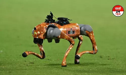 IPL के चंपक रोबोट डॉग पर विवाद! चंपक मैगजीन ने BCCI पर ट्रेडमार्क उल्लंघन का आरोप लगाया IPL के चंपक रोबोट डॉग पर विवाद! चंपक मैगजीन ने BCCI पर ट्रेडमार्क उल्लंघन का आरोप लगाया