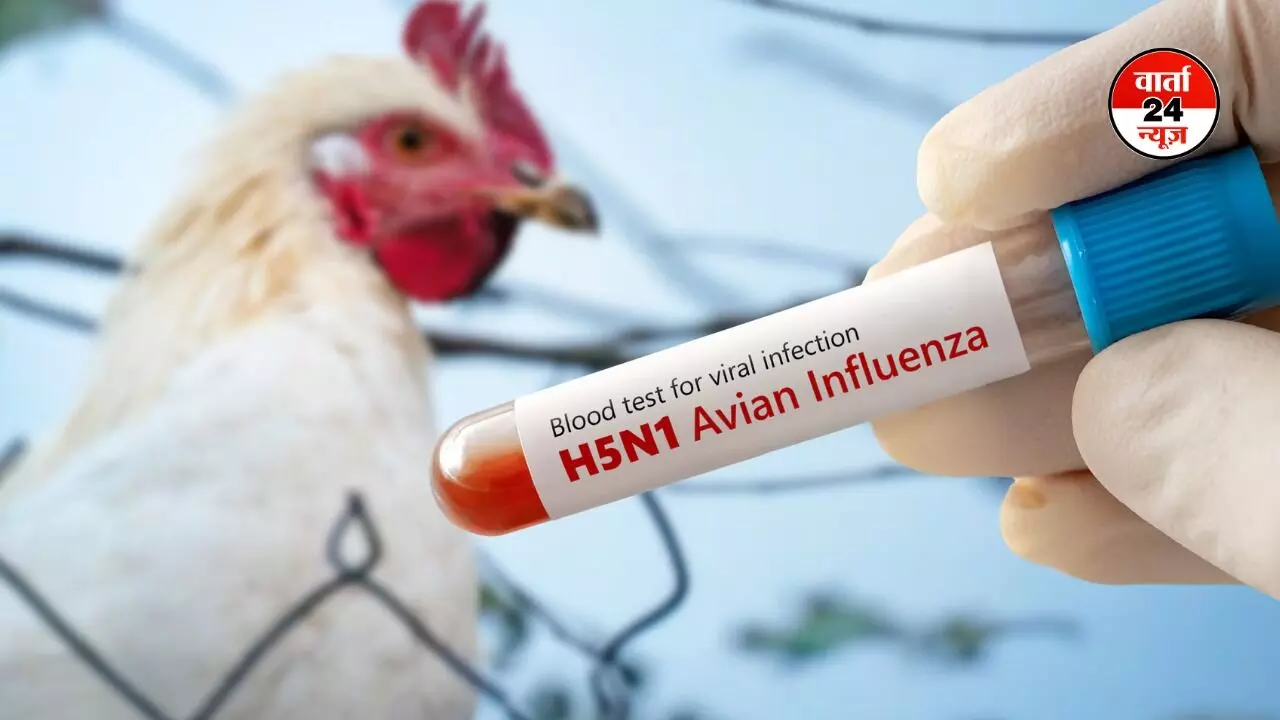 H5N1 वायरस -अमेरिका में फैल रहा बर्ड फ्लू, जानें पक्षियों के बाद अब इंसानों को कैसे कर रहा है संक्रमित, क्या पूरी दुनिया को है खतरा! H5N1 वायरस -अमेरिका में फैल रहा बर्ड फ्लू, जानें पक्षियों के बाद अब इंसानों को कैसे कर रहा है संक्रमित, क्या पूरी दुनिया को है खतरा!