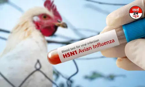H5N1 वायरस -अमेरिका में फैल रहा बर्ड फ्लू, जानें पक्षियों के बाद अब इंसानों को कैसे कर रहा है संक्रमित, क्या पूरी दुनिया को है खतरा! H5N1 वायरस -अमेरिका में फैल रहा बर्ड फ्लू, जानें पक्षियों के बाद अब इंसानों को कैसे कर रहा है संक्रमित, क्या पूरी दुनिया को है खतरा!