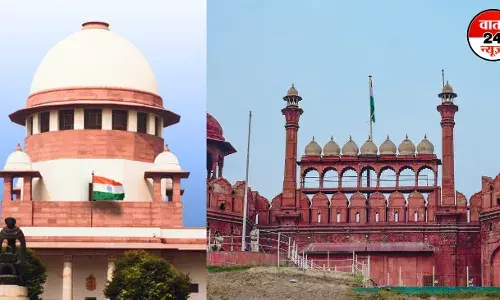 ‘सिर्फ लाल किला ही क्यों चाहिए...’, मुगलों का वंशज बताकर लाल किले की मांग करने वाली महिला की याचिका पर सुप्रीम कोर्ट की टिप्पणी