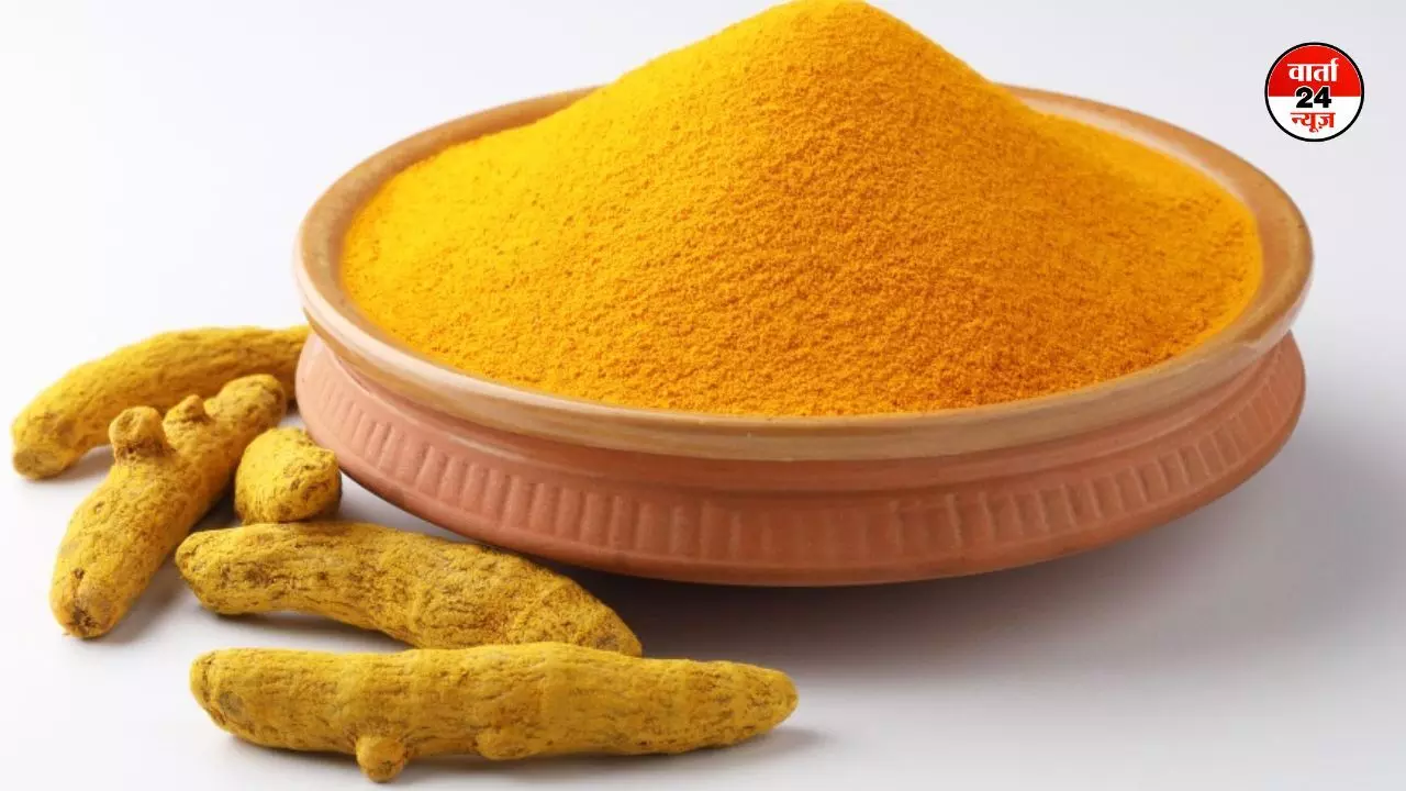 एक शक्तिशाली औषधीय मसाला हल्दी, जानें फायदे और नुकसान एक शक्तिशाली औषधीय मसाला हल्दी, जानें फायदे और नुकसान