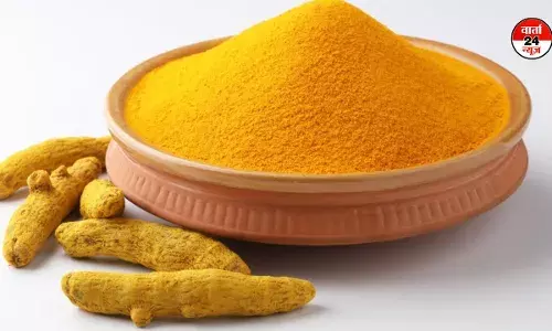 एक शक्तिशाली औषधीय मसाला हल्दी, जानें फायदे और नुकसान एक शक्तिशाली औषधीय मसाला हल्दी, जानें फायदे और नुकसान