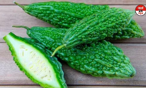 स्वाद में कड़वा पर सेहत से भरपूर करेला, जानें फायदे और गुण स्वाद में कड़वा पर सेहत से भरपूर करेला, जानें फायदे और गुण