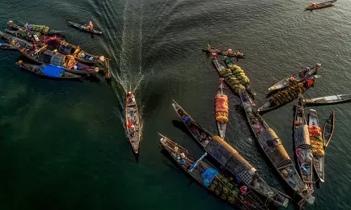 भारत में बिकने वाले कपड़ों और पांच नदियों के जल में मिले खतरनाक रसायन: सर्वेक्षण