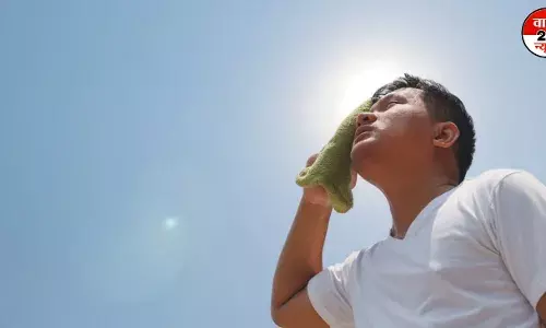 गर्मियों में लू से परेशान, अपनाएं बचाव के लिए कुछ अचूक उपाय गर्मियों में लू से परेशान, अपनाएं बचाव के लिए कुछ अचूक उपाय