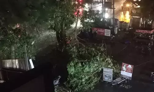 देश के कई हिस्सों में आंधी बारिश से भारी तबाही, एनसीआर में जलजमाव से कई सड़कें बाधित, घरों में घुसा पानी