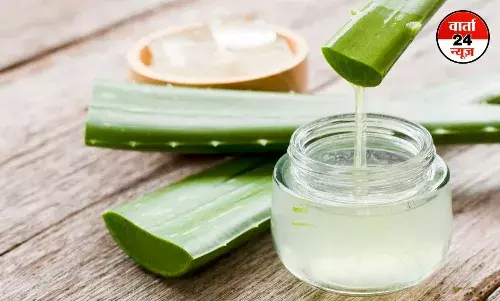 Aloe Vera:पोषक तत्वों से भरपूर , जानें इसके फायदे और नुकसान Aloe Vera:पोषक तत्वों से भरपूर , जानें इसके फायदे और नुकसान