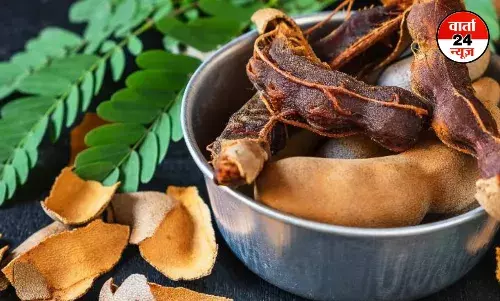 Imli: खट्टी -मिट्टी इमली! कई गुणों से भरपूर, जानें इसके फायदे और नुकसान Imli: खट्टी -मिट्टी इमली! कई गुणों से भरपूर, जानें इसके फायदे और नुकसान