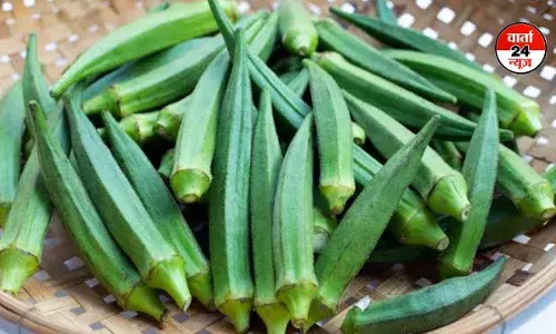 गर्मियों में भिंडी का सेवन क्यों है फायदेमंद? जानें सेहत से जुड़े जबरदस्त लाभ गर्मियों में भिंडी का सेवन क्यों है फायदेमंद? जानें सेहत से जुड़े जबरदस्त लाभ