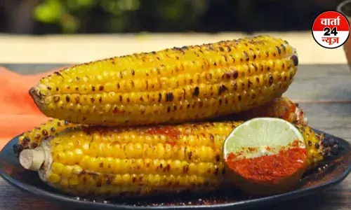 Roasted Corn: बारिश के मौसम में खूब खाएं भुना हुआ भुट्टा, जानें इसके फायदे और नुकसान Roasted Corn: बारिश के मौसम में खूब खाएं भुना हुआ भुट्टा, जानें इसके फायदे और नुकसान