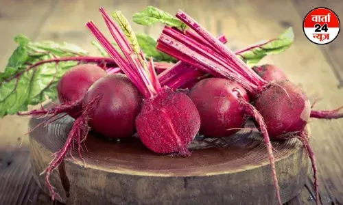 गर्मियों का सुपरफूड लाल चुकंदर! ब्लड प्रेशर से लेकर वजन कंट्रोल करने तक जानें इसके फायदे और नुकसान गर्मियों का सुपरफूड लाल चुकंदर! ब्लड प्रेशर से लेकर वजन कंट्रोल करने तक जानें इसके फायदे और नुकसान