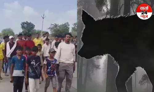 यूपी में बाघ और भेड़िया ले रहे लोगों की जान तो मध्य प्रदेश में अनजान जानवर का खौफ! 12 दिनों में छह ने तोड़ा दम, जानें क्या है दास्तां यूपी में बाघ और भेड़िया ले रहे लोगों की जान तो मध्य प्रदेश में अनजान जानवर का खौफ! 12 दिनों में छह ने तोड़ा दम, जानें क्या है दास्तां