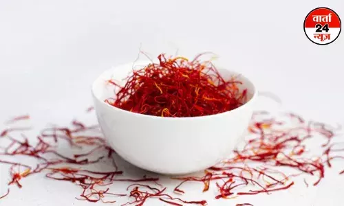 Saffron: गुणों की खान होता है केसर! जानें इसके चमत्कारिक फायदे और पोषक तत्वों के बारे में Saffron: गुणों की खान होता है केसर! जानें इसके चमत्कारिक फायदे और पोषक तत्वों के बारे में