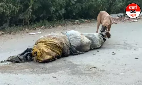 युवक की हत्या कर शव दिल्ली के पास फेंका, बीच रोड पर शव नोचता रहा कुत्ता, देखें वीडियो
