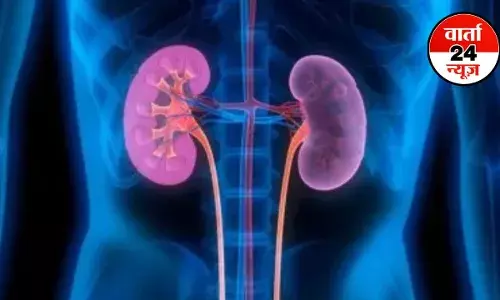 HEALTH TIPS: किडनी को रखें स्वस्थ और निरोग! जानें आसान उपाय और पोषक आहार