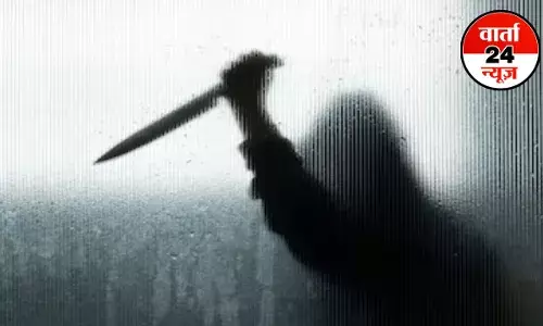 सोनम रघुवंशी 2.0: बैंक अफसर से मां-बेटी दोनों को हुआ प्यार, शादी के बाद कर दिया दूल्हे का कत्ल, पढ़े Love में Murder की अजीबोगरीब दास्तां