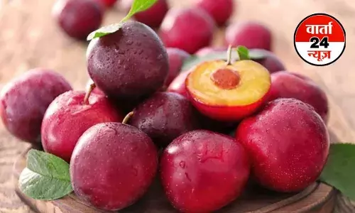 PLUM: फाइबर से भरपूर आलू बुखारा! जिसको खाने से मिलते है अनेकों फायदे , जानें एक दिन में कितनी मात्रा में खाएं