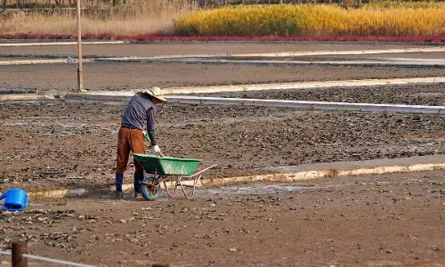 वो नेता नहीं फरिश्ता निकला... किसान को हल चलाता देख पसीजा नेताजी का दिल, चुकाया कर्ज, जानिए कितनी थी रकम वो नेता नहीं फरिश्ता निकला... किसान को हल चलाता देख पसीजा नेताजी का दिल, चुकाया कर्ज, जानिए कितनी थी रकम