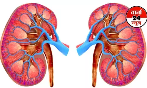 Kidney Stone : बिना दवा और ऑपरेशन के बाहर निकल सकती है किडनी की पथरी, जानें कैसे Kidney Stone : बिना दवा और ऑपरेशन के बाहर निकल सकती है किडनी की पथरी, जानें कैसे