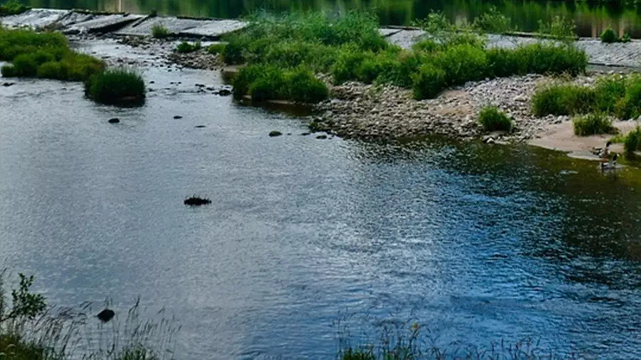 बेटी का चल रहा था चक्कर तो पिता ने किया ऐसा काम जानकर उड़ जाएंगे होश