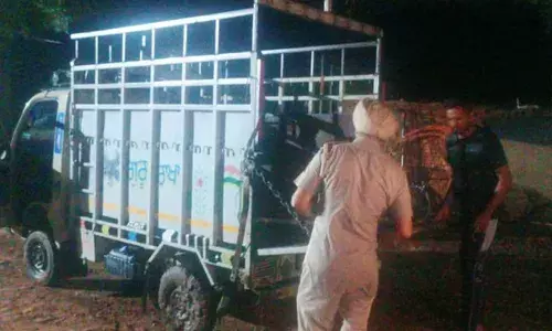 नैना देवी दर्शन से लौट रही श्रद्धालुओं से भरी पिकअप गाड़ी नहर में गिरी, दो बच्चे सहित 6 की मौत नैना देवी दर्शन से लौट रही श्रद्धालुओं से भरी पिकअप गाड़ी नहर में गिरी, दो बच्चे सहित 6 की मौत