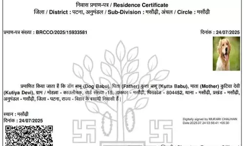 आवेदक का नाम : डॉग बाबू, पिता कुत्ता बाबू ... चौंकिए मत ! मसौढ़ी में अब कुत्ते का बना मूल निवास प्रमाण पत्र