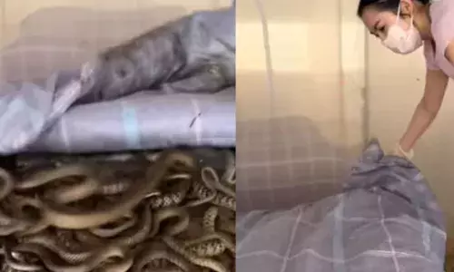 लड़की के बंद बेडरूम को जब लोगों ने देखा तो उड़ गए होश! बेडरूम की सच्चाई जानेंगे तो हो जाएंगे हैरान... लड़की के बंद बेडरूम को जब लोगों ने देखा तो उड़ गए होश! बेडरूम की सच्चाई जानेंगे तो हो जाएंगे हैरान...