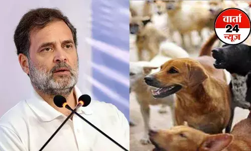 ये बेजुबान आत्माएं कोई समस्याएं नहीं हैं जिन्हें मिटाया जा सके... आवारा कुत्तों को हटाने के सुप्रीम कोर्ट के निर्देश पर राहुल गांधी ने दी प्रतिक्रिया ये बेजुबान आत्माएं कोई समस्याएं नहीं हैं जिन्हें मिटाया जा सके... आवारा कुत्तों को हटाने के सुप्रीम कोर्ट के निर्देश पर राहुल गांधी ने दी प्रतिक्रिया