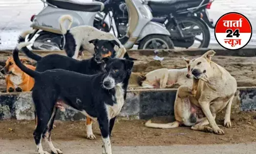 मैं इस पर गौर करूंगा... CJI गवई ने आवारा कुत्तों से जुड़ी याचिका पर बोले, सुप्रीम कोर्ट में जल्द सुनवाई की अपील की गई मैं इस पर गौर करूंगा... CJI गवई ने आवारा कुत्तों से जुड़ी याचिका पर बोले, सुप्रीम कोर्ट में जल्द सुनवाई की अपील की गई