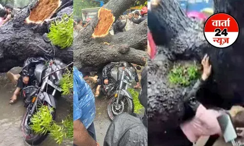 दिल्ली-एनसीआर में बारिश ने मचाई तबाही! कालकाजी में पेड़ गिरने से बाइक सवार की मौत, दो घायल, देखें वीडियो दिल्ली-एनसीआर में बारिश ने मचाई तबाही! कालकाजी में पेड़ गिरने से बाइक सवार की मौत, दो घायल, देखें वीडियो