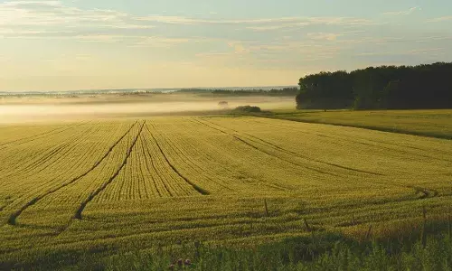 भायंदर में 2011 की जमीन धोखाधड़ी का मामला, पांच लोग नामजद