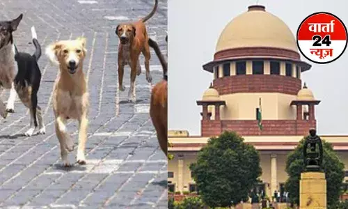 Delhi-NCR में आवारा कुत्तों को लेकर सुप्रीम कोर्ट का बड़ा फैसला! कहा- नसबंदी के बाद कुत्तों को छोड़ दिया जाएगा... Delhi-NCR में आवारा कुत्तों को लेकर सुप्रीम कोर्ट का बड़ा फैसला! कहा- नसबंदी के बाद कुत्तों को छोड़ दिया जाएगा...