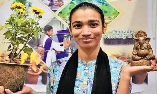 बी.टेक छात्रा ने की इको स्टार्टअप... रखा पर्यावरणहितों का ध्यान, मूंगफली के छिलकों से तैयार किया गणपति की प्रतिमा