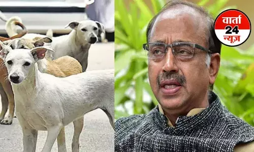 भाजपा नेता विजय गोयल ने SC के फैसले पर जताई चिंता, कहा- डॉग बाइट की जिम्मेदारी किसकी, सुप्रीम कोर्ट या पशु प्रेमी NGO… भाजपा नेता विजय गोयल ने SC के फैसले पर जताई चिंता, कहा- डॉग बाइट की जिम्मेदारी किसकी, सुप्रीम कोर्ट या पशु प्रेमी NGO…