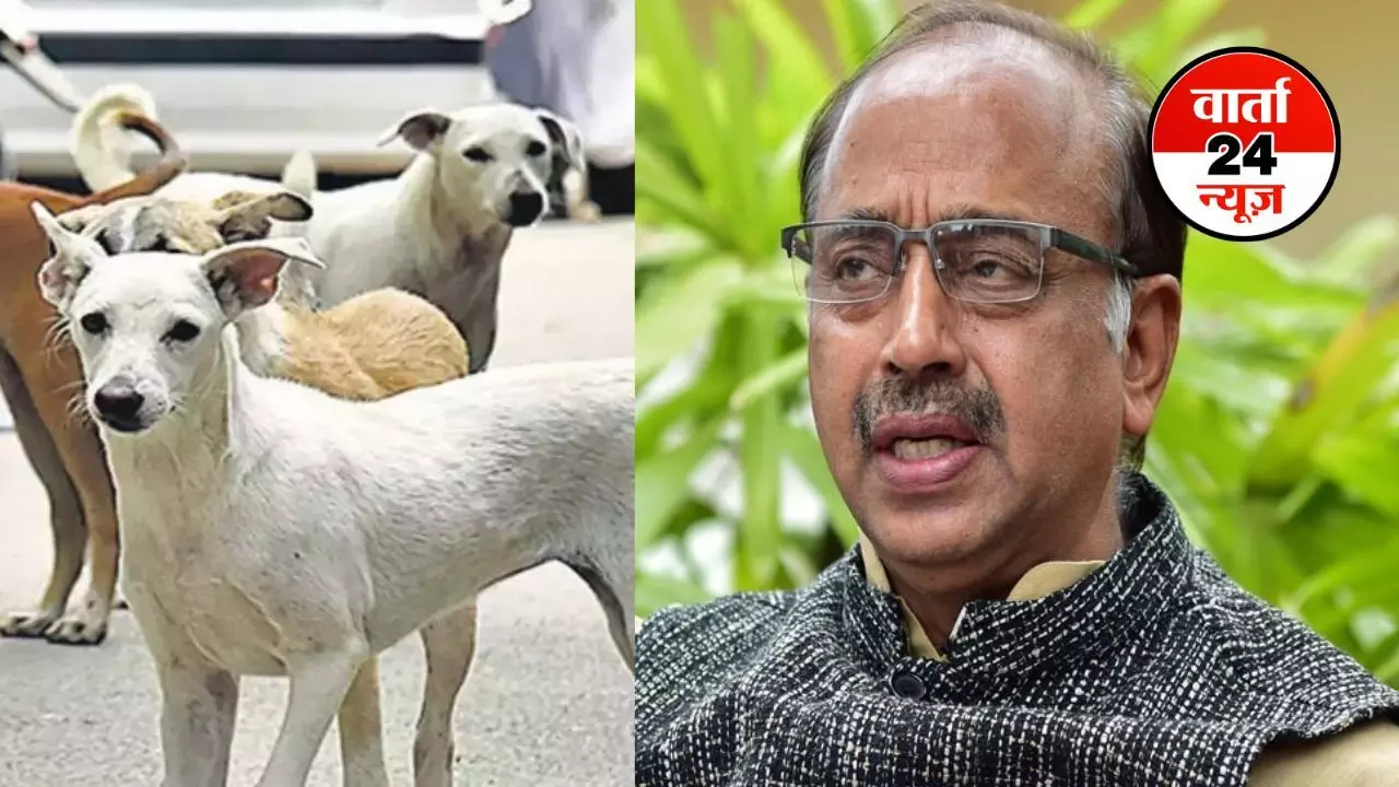 भाजपा नेता विजय गोयल ने SC के फैसले पर जताई चिंता, कहा- डॉग बाइट की जिम्मेदारी किसकी, सुप्रीम कोर्ट या पशु प्रेमी NGO… भाजपा नेता विजय गोयल ने SC के फैसले पर जताई चिंता, कहा- डॉग बाइट की जिम्मेदारी किसकी, सुप्रीम कोर्ट या पशु प्रेमी NGO…