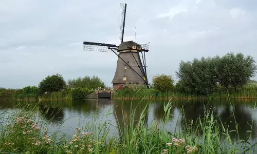 दिल्ली रोहिणी में महिला ने नाले में कूदकर दी जान, घंटों की तलाश के बाद मिली लाश